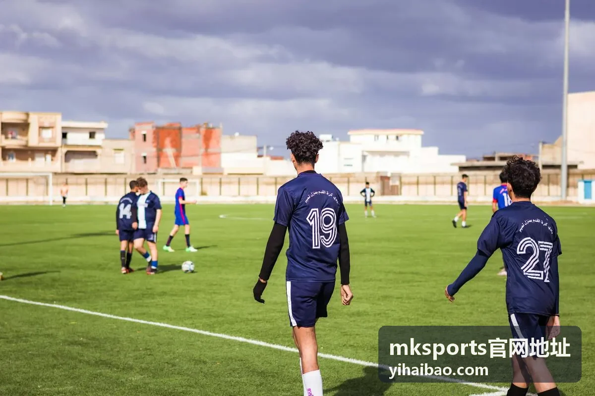 mksports官网地址系统适配与要求核对示意