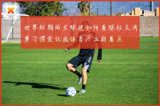 世界杯期间女球迷如何看球社交消费习惯变化成体育产业新看点