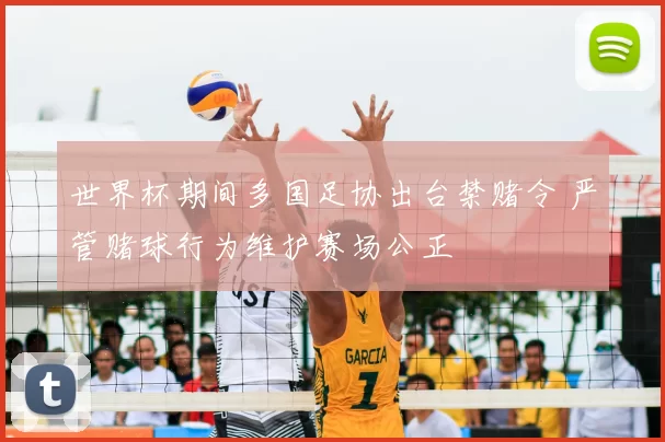 世界杯期间多国足协出台禁赌令 严管赌球行为维护赛场公正