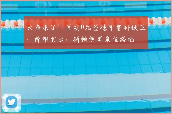 大鱼来了!国安0元签德甲替补铁卫,降维打击,斯帕伊奇最佳搭档