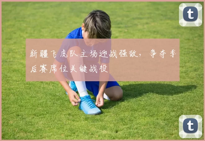 新疆飞虎队主场迎战强敌，争夺季后赛席位关键战役