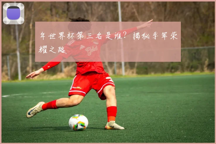 年世界杯第三名是谁？揭秘季军荣耀之路