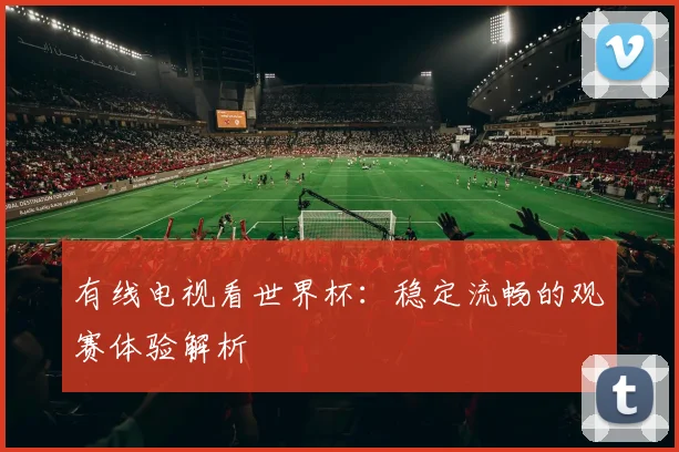 有线电视看世界杯：稳定流畅的观赛体验解析