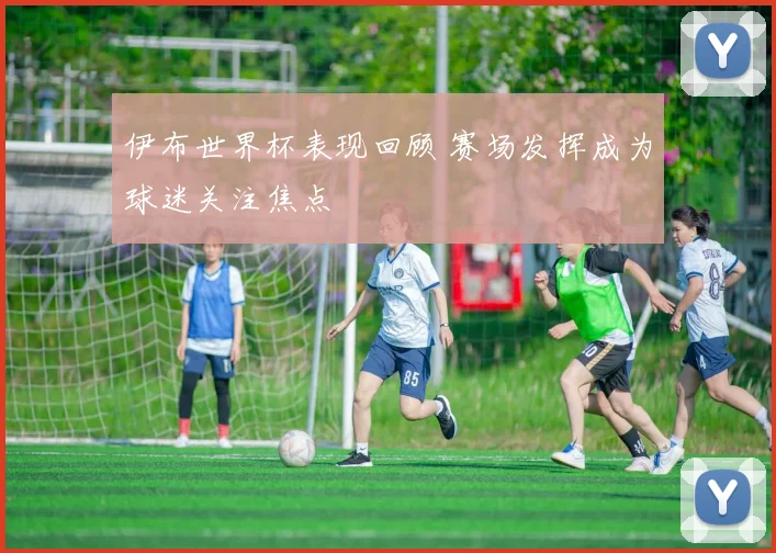 伊布世界杯表现回顾 赛场发挥成为球迷关注焦点