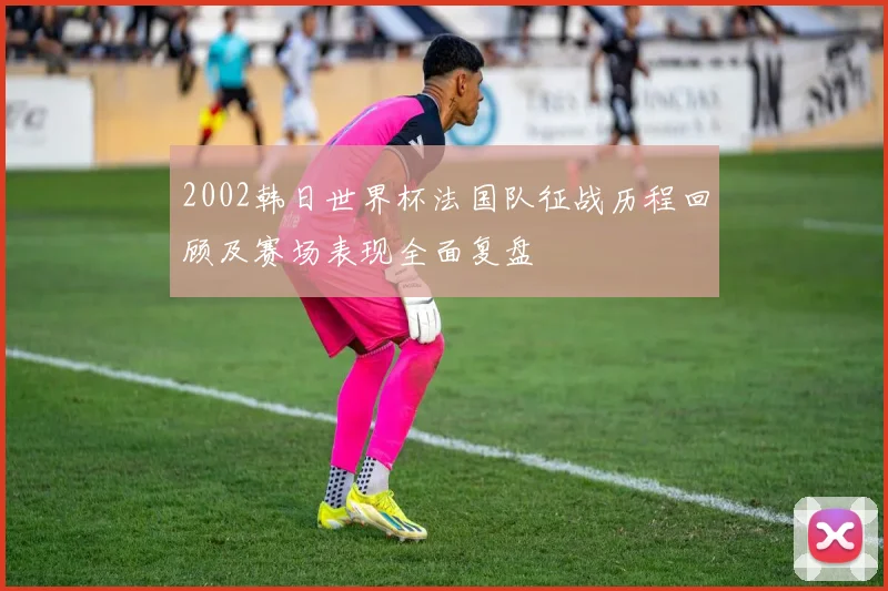 2002韩日世界杯法国队征战历程回顾及赛场表现全面复盘