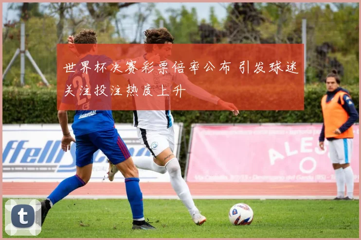世界杯决赛彩票倍率公布 引发球迷关注投注热度上升